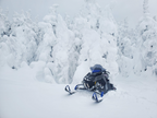 WhiteOut LED Safety Light Polaris/Universal
