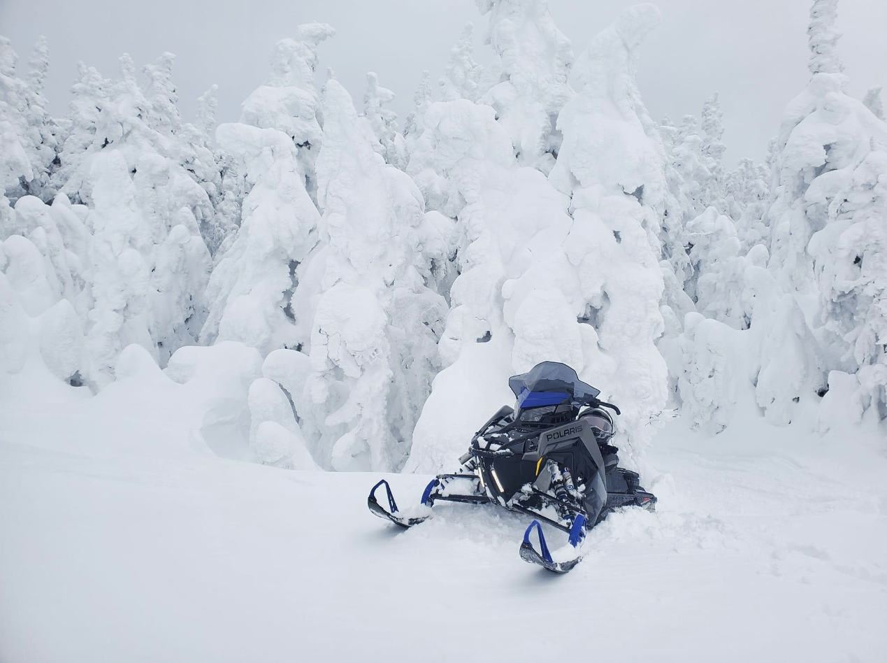 WhiteOut LED Safety Light Polaris/Universal