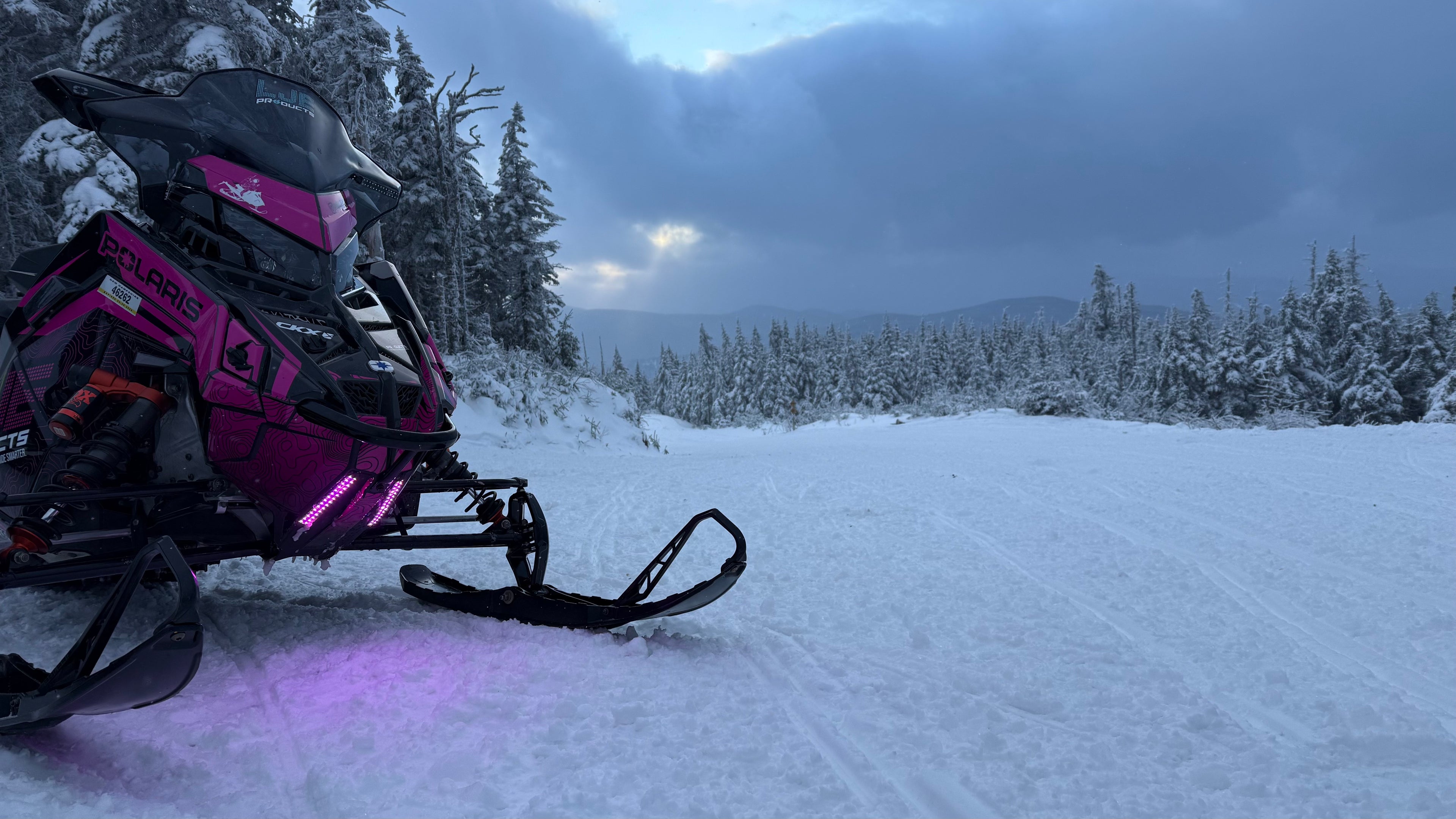 Pink WhiteOut Safety Light for Polaris/Universal