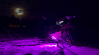 Pink WhiteOut Safety Light for Polaris/Universal