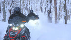 Trail Courtesy Light