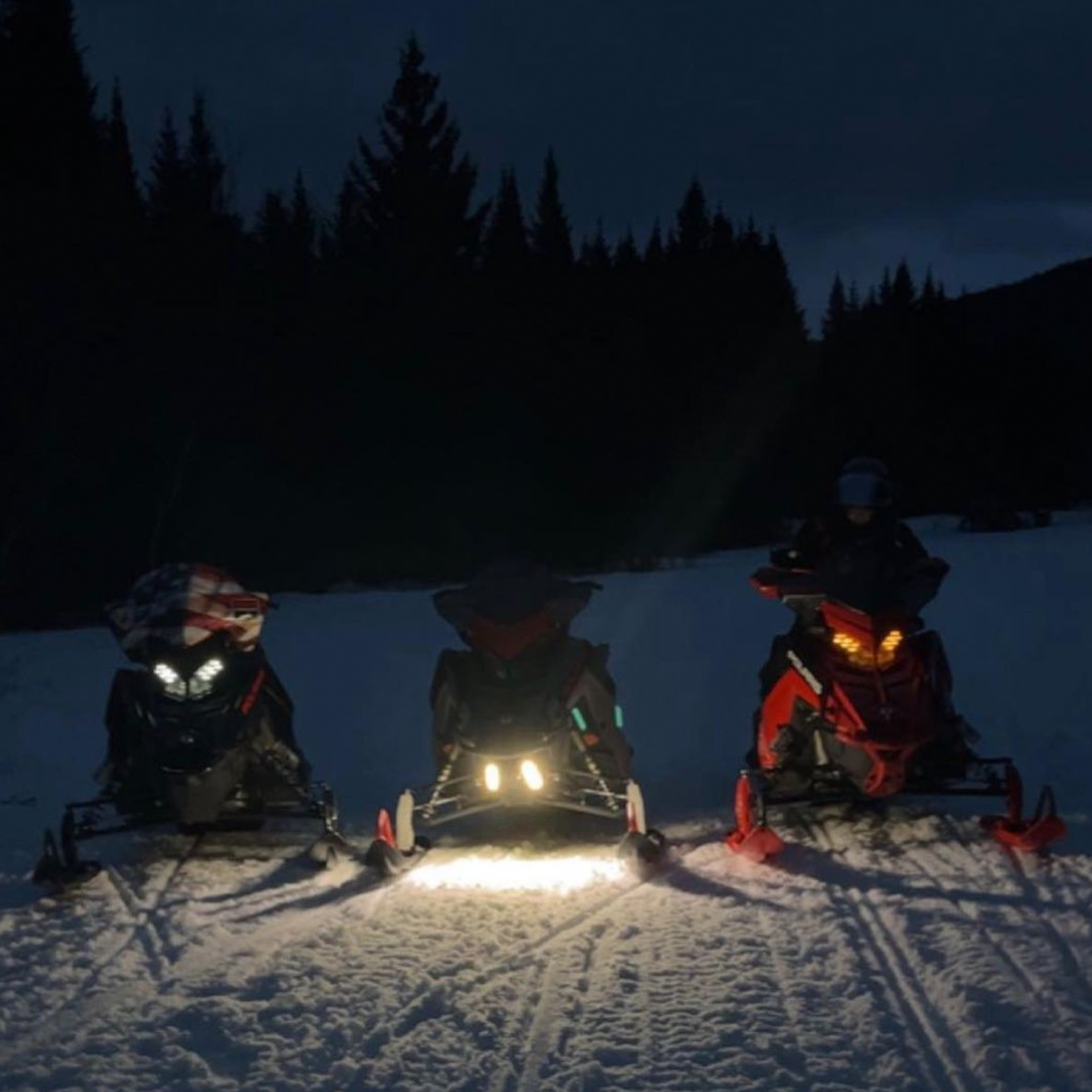 WhiteOut LED Safety Light Polaris/Universal