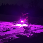 Pink WhiteOut Safety Light for Polaris/Universal