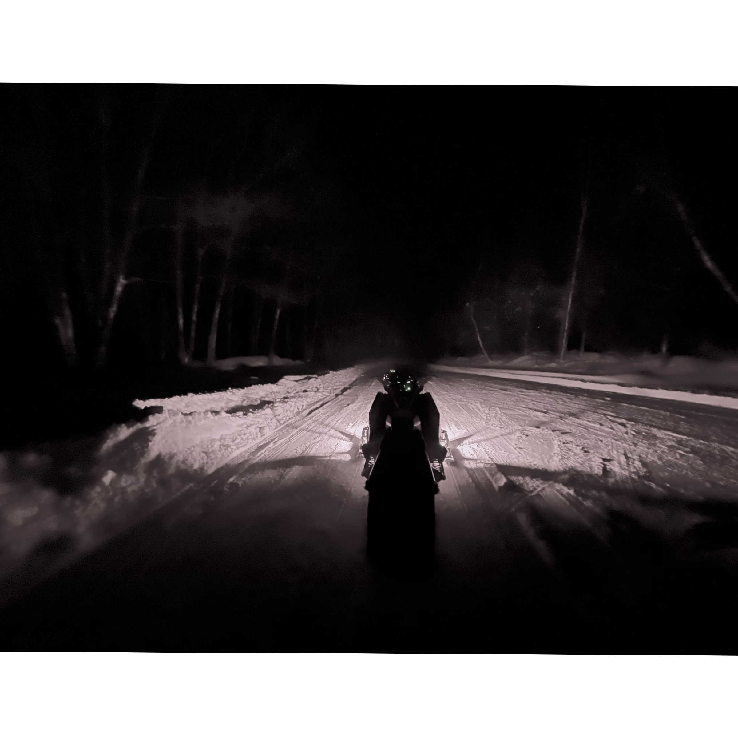 WhiteOut LED Safety Light Polaris/Universal
